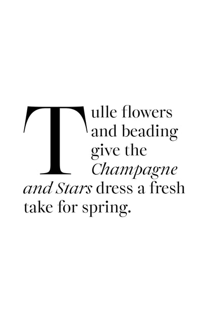 Trelise Cooper - Champagne and Stars Dress Silver/Pink