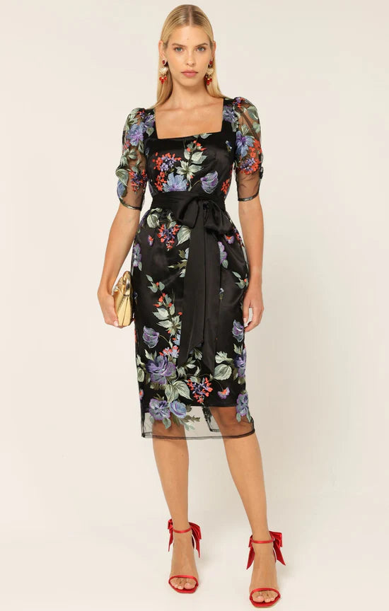 Sacha Drake - Mont Tombe Dress